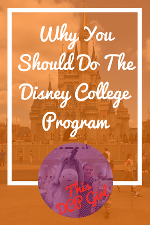 Why You Should Do The Disney College Program - This DCP Girl